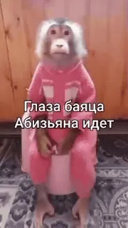 🌟 Глаза баяца
Абизьяна идет ลิง, เอป, สัตว์, ตลก, น่ารัก, ไพรเมต whatsapp sticker