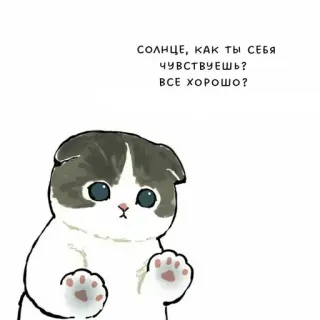 🙍‍♂ СОЛНЦЕ, КАК ТЫ СЕБЯ ЧУВСТВУЕШЬ? ВСЕ ХОРОШО? telegram sticker