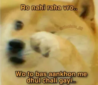 🥲 Ro nahi raha vro..
Wo to bas aankhon me dhul chali gayi.. pies, mem, śmieszne, płacz, kurz, emocjonalne telegram sticker