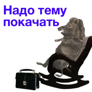 🔨 Надо тему покачать animal, jabalí, silla, maleta telegram sticker