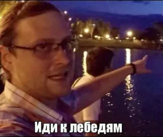 🦢 Иди к лебедям мужчина, указывает, русский, текст, лебедь telegram sticker