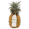 🍍