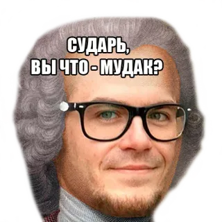 😉 СУДАРЬ, ВЫ ЧТО - МУДАК? Meme, Rusia, Hinaan, Lucu, Humor telegram sticker