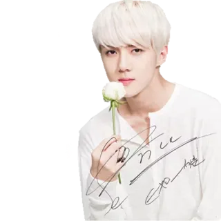 🌹 K-pop, idol, celebrity, singer, white hair, flower whatsapp sticker