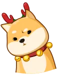 🐶