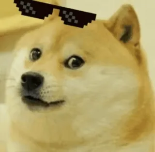 😎 Doge doge, pies, mem, pikselowe okulary, cool, okulary przeciwsłoneczne telegram sticker