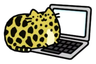😕 고양이, 노트북, 동물, 컴퓨터, 귀여운, 스티커 whatsapp sticker
