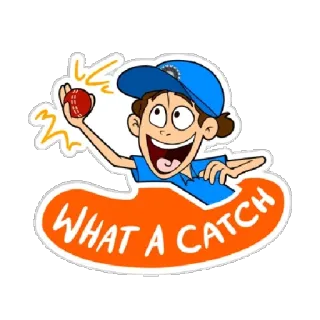 🕺 WHAT A CATCH Cricket, Fangen, Sport, Cartoon, Indien telegram sticker