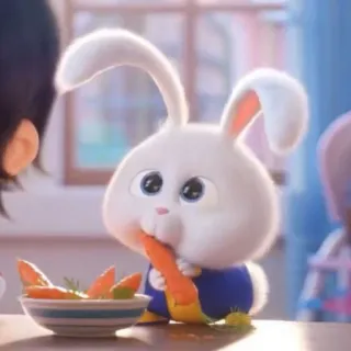 🐰 Snowball The Secret Life of Pets coniglio, animale, animale domestico, carino, carota, Snowball, Pets - Vita da animali whatsapp sticker