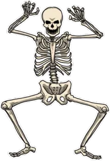👻 โครงกระดูก, กระดูก, กายวิภาคศาสตร์, ฮาโลวีน, น่ากลัว, ความตาย, หัวกะโหลก telegram sticker