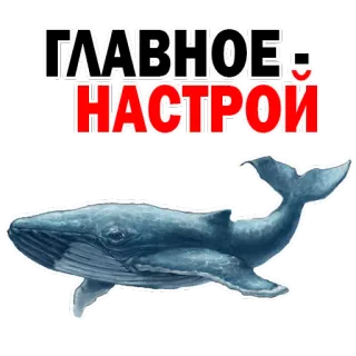 👍 ГЛАВНОЕ: НАСТРОЙ paus, laut, samudra, biru, hewan, teks telegram sticker