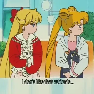 🙎‍♀️ Sailor Moon I don't like that attitude... sailor moon, sikap, anime, kartun whatsapp sticker
