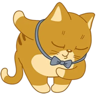 🎀 gatto, gattino, carino, papillon, animale, animale domestico telegram sticker
