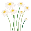 🌸