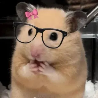 😲 ハムスター, メガネ, リボン, かわいい, 動物, げっ歯類 telegram sticker