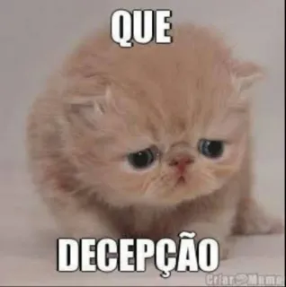 😔 QUE
DECEPÇÃO кот, грустный, разочарованный, котёнок, мем telegram sticker