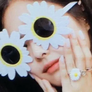 🥟 óculos de sol, flor, margarida, moda, acessório, mulher whatsapp sticker