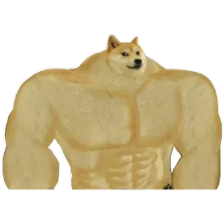 💪 Doge cane, meme, muscoloso, forte, animale telegram sticker