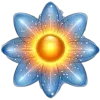 🌟