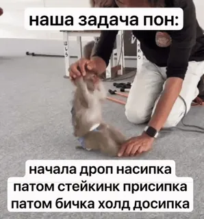 💪 наша задача пон:
начала дроп насипка
патом стейкинк присипка
патом бичка холд досипка 무기, 드론, 공격, 군사, 공격적인, 러시아, 욕설 telegram sticker