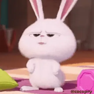 👌 Snowball The Secret Life of Pets bunny, rabbit, snowball, the secret life of pets, cute, animal telegram sticker