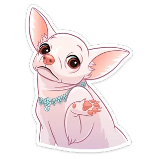 🤷‍♀️ cão, chihuahua, fofo, animal, animal de estimação, adesivo whatsapp sticker