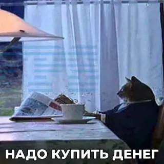 🤑 НАДО КУПИТЬ ДЕНЕГ chat, argent, mème, costume, russe, drôle telegram sticker