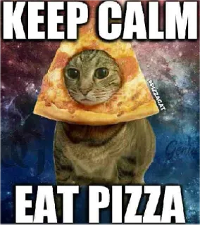 🍕 KEEP CALM
EAT PIZZA 猫, ピザ, 冷静に, ピザを食べる, 面白い, 動物, 食べ物 telegram sticker