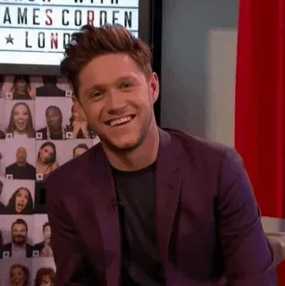 ✨ Niall Horan นักร้อง, คนดัง, One Direction, Niall Horan, ภาพเหมือน, บุคคล telegram sticker