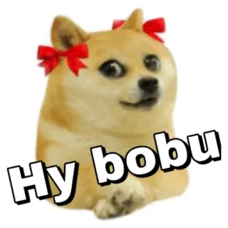 😊 Hy bobu perro, meme, lindo, mascota, animal telegram sticker