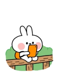 ☹️ lapin, dessin animé, mignon, animal, clôture, tablette, lapinou, assis whatsapp sticker