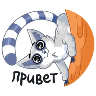 ВК стикеры telegram stickers