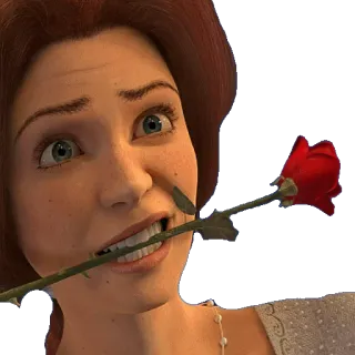 💐 Princess Fiona Shrek princesa, rosa, animado, fiona, dreamworks whatsapp sticker