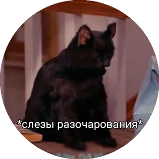 😥 *слезы разочарования* 猫, 悲しい, がっかり, 泣く telegram sticker