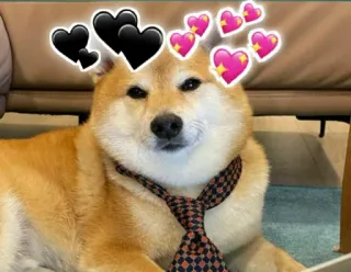🖤 hond, shiba inu, stropdas, harten, huisdier, schattig telegram sticker