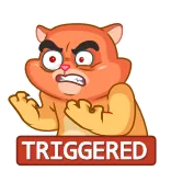 😡