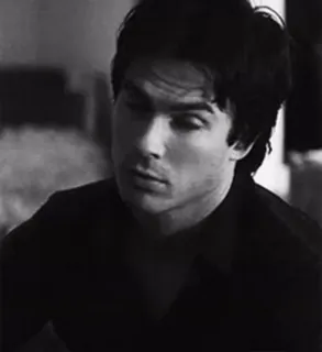 🩸 Damon Salvatore The Vampire Diaries vampire, brooding, black and white, portrait, male, dark telegram sticker