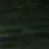 🤩
