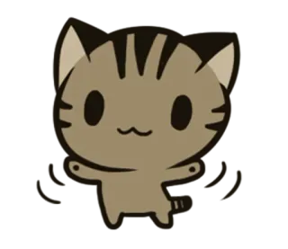 😼 แมว, สัตว์, น่ารัก, สติกเกอร์, การ์ตูน whatsapp sticker