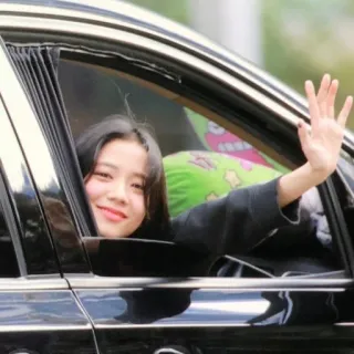 👋 person, frau, winken, auto, lächeln, schwarze haare telegram sticker