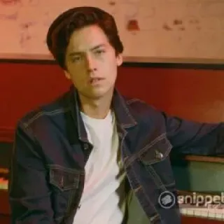 🗝 Cole Sprouse кол сперус, актер, знаменитость, мужчина, портрет telegram sticker
