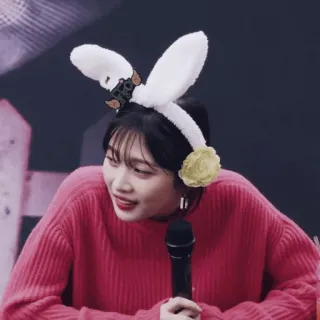 🎟 mulher, orelhas de coelho, microfone, kpop, ídolo, retrato, sorrindo telegram sticker