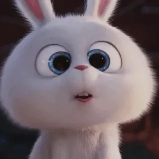 🍓 Snowball The Secret Life of Pets กระต่าย, กระต่ายน้อย, น่ารัก, สัตว์, สัตว์เลี้ยง, การ์ตูน, ภาพเคลื่อนไหว telegram sticker