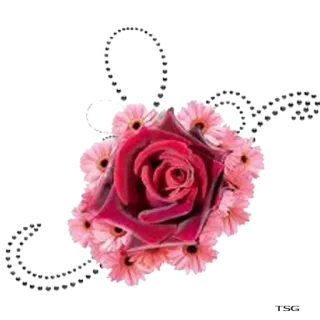 🌸 Rosa, Flor, Floral, Rosa, Romântico, Beleza telegram sticker