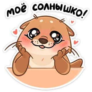 😍 моё солнышко! น่ารัก, นาก, สัตว์, รัก, หัวใจ, การ์ตูน whatsapp sticker