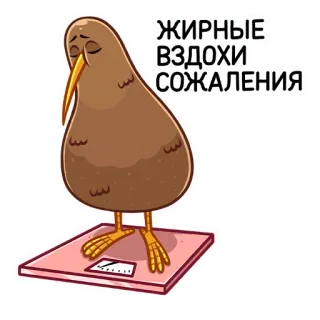 Киви Стиви :: @stickroom telegram stickers