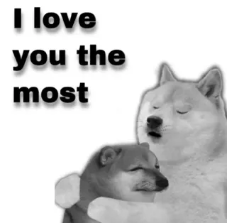 😂 I love you the most doge, perro, amor, cariño, meme telegram sticker