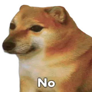 🐶 No Doge, หมา, มีม, ไม่, การปฏิเสธ whatsapp sticker