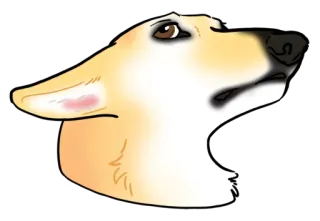 🙄 anjing, hewan, hewan peliharaan, binatang peliharaan, kanin telegram sticker