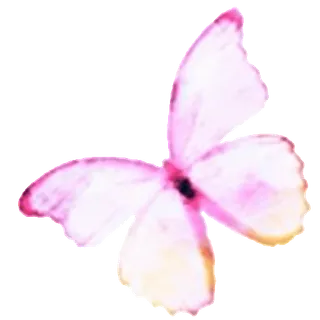 🦋